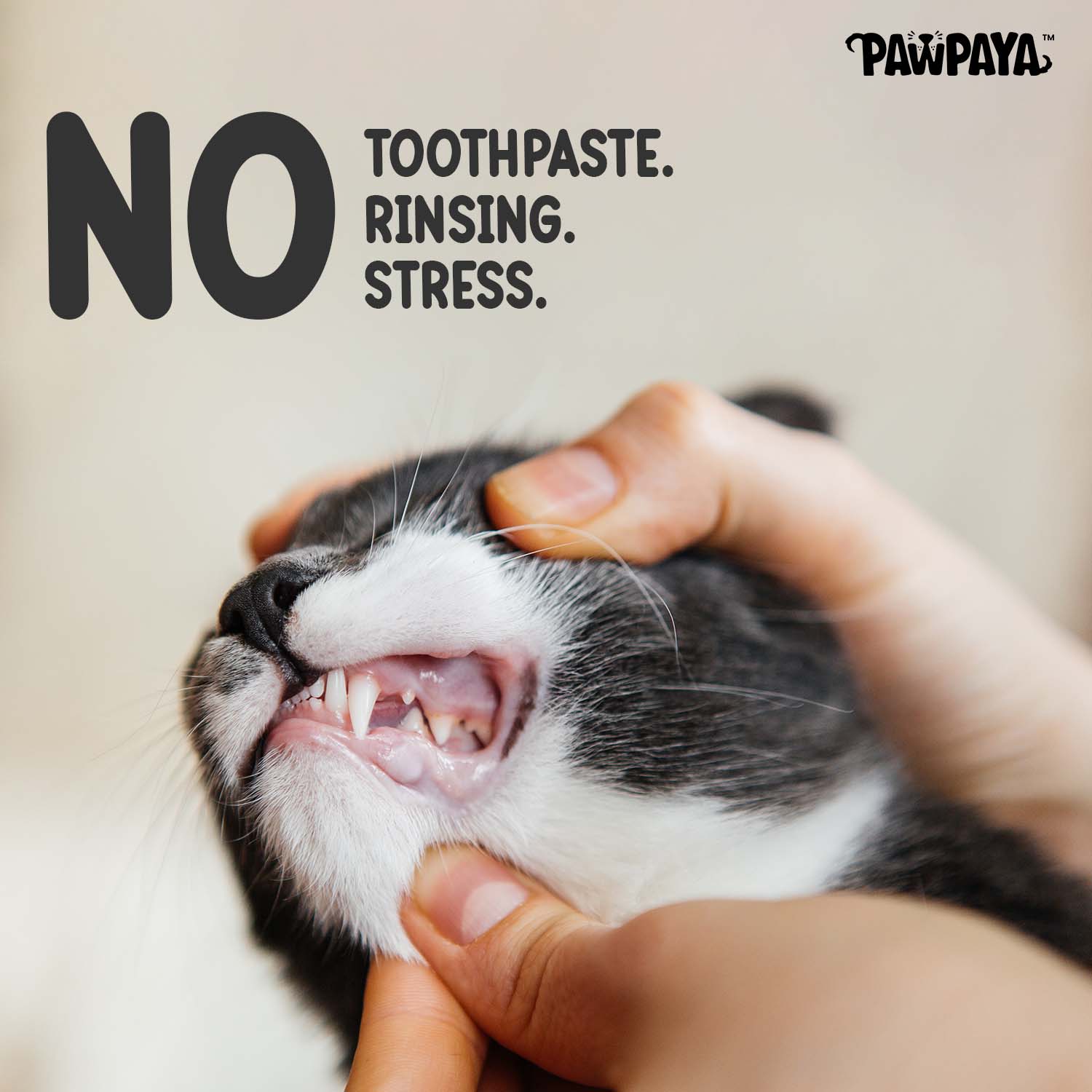 Pawpaya Tooth Wipes for Dogs and Cats Both-Grooming Supplies Pawpaya