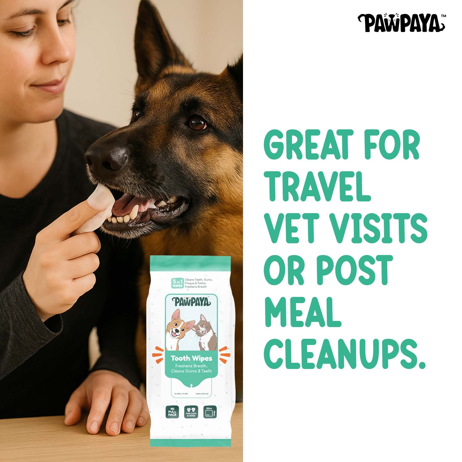 Pawpaya Tooth Wipes for Dogs and Cats Both-Grooming Supplies Pawpaya