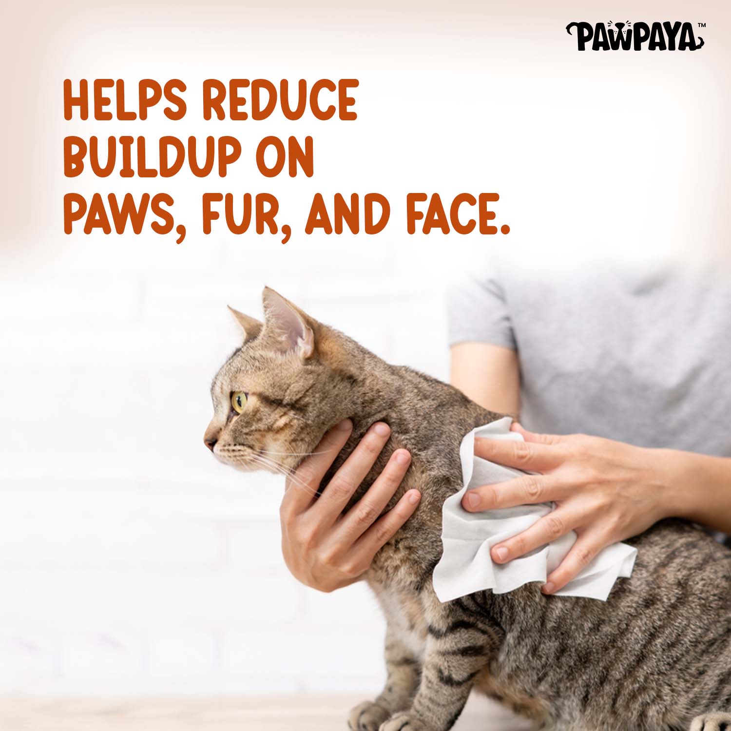 Pawpaya Antibacterial wipes for Dogs and Cats Both-Grooming Supplies Pawpaya