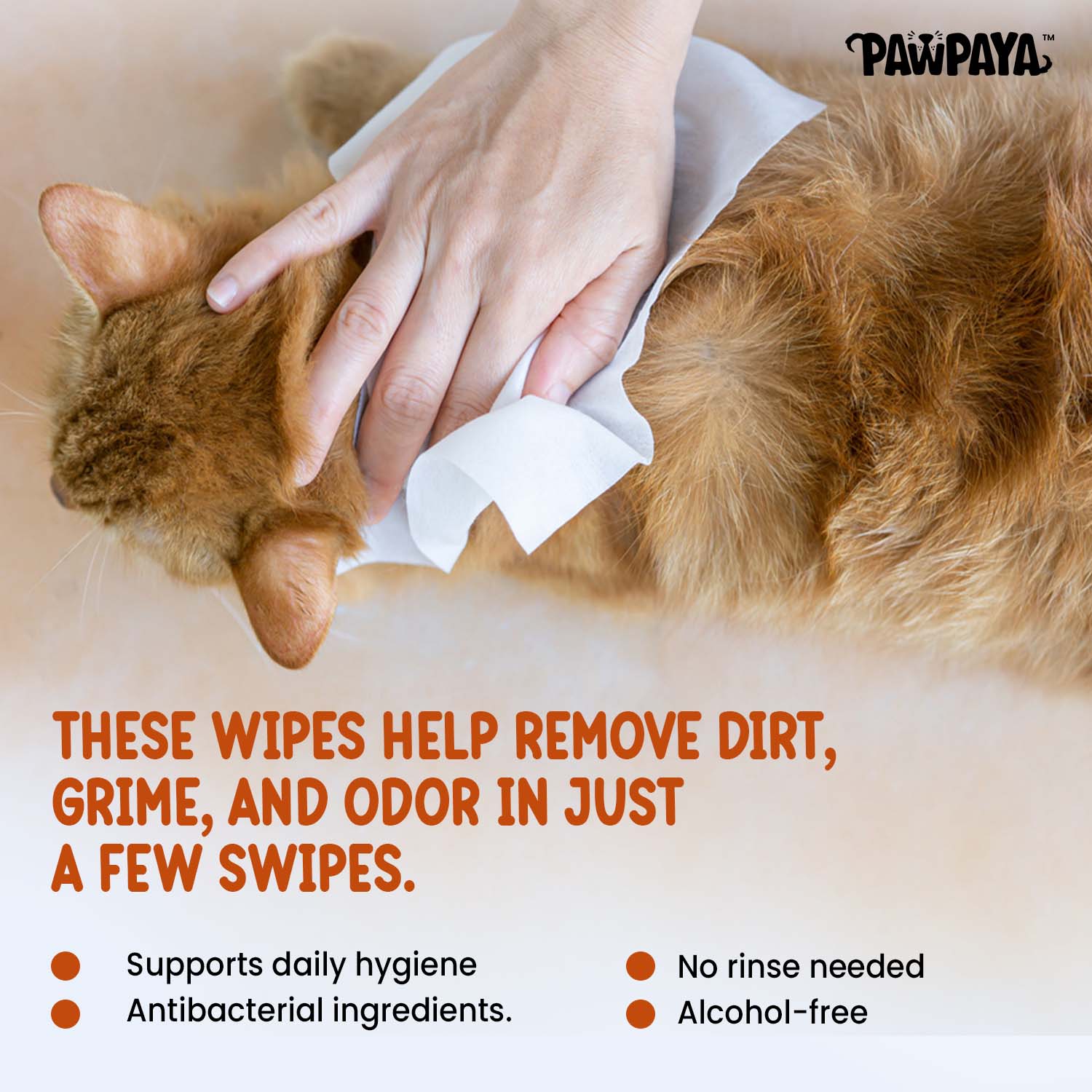 Pawpaya Antibacterial wipes for Dogs and Cats Both-Grooming Supplies Pawpaya