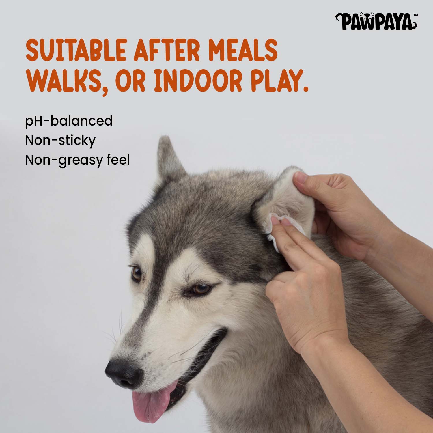 Pawpaya Antibacterial wipes for Dogs and Cats Both-Grooming Supplies Pawpaya