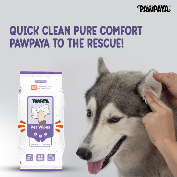 Pawpaya Lavender Wipes for Pets
