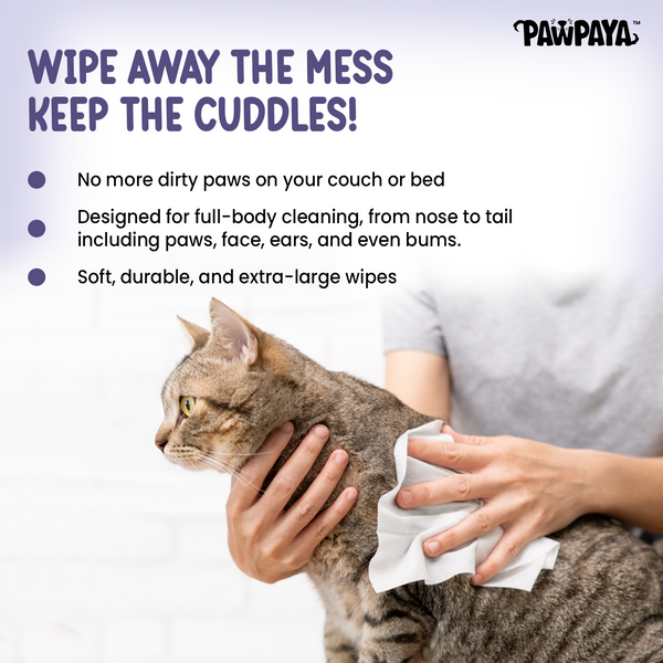 Pawpaya Lavender Wipes for Pets