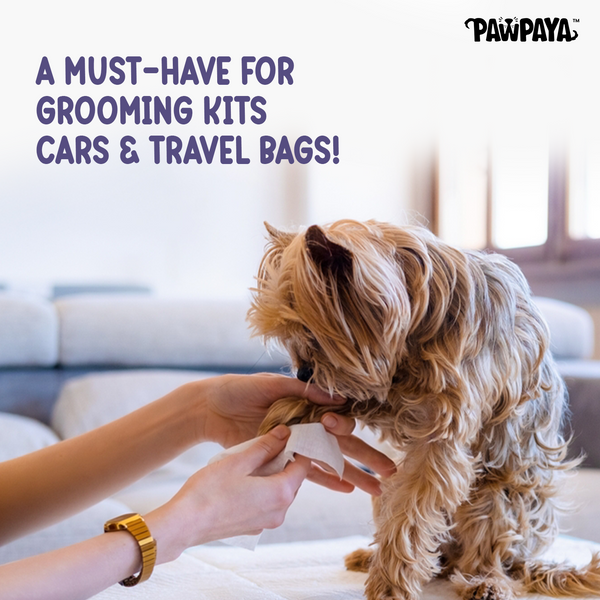 Pawpaya Lavender Wipes for Pets