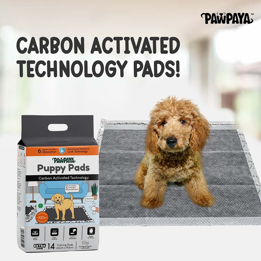 Pawpaya Carbon Training Pad for Dogs (White) Dogs-Health & Wellness Pawpaya