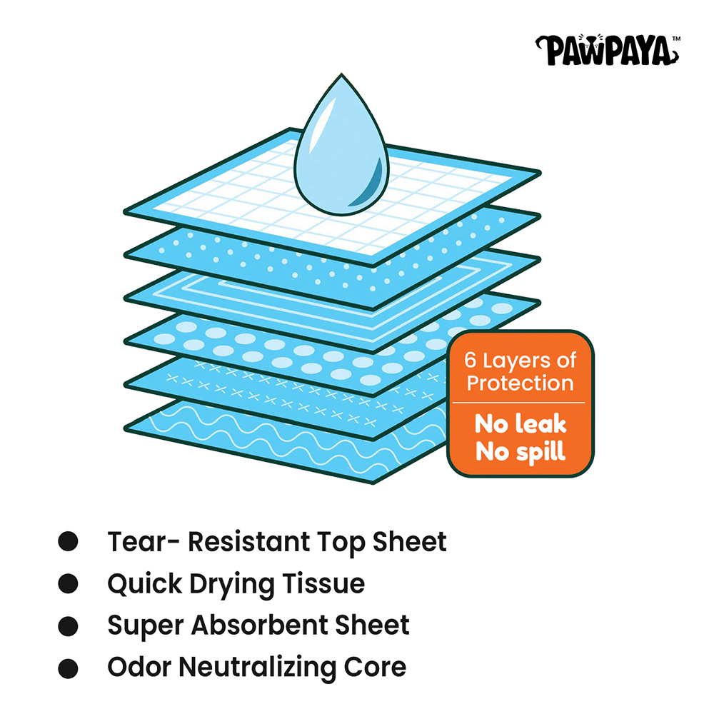 Pawpaya Carbon Training Pad for Dogs (White) Dogs-Health & Wellness Pawpaya