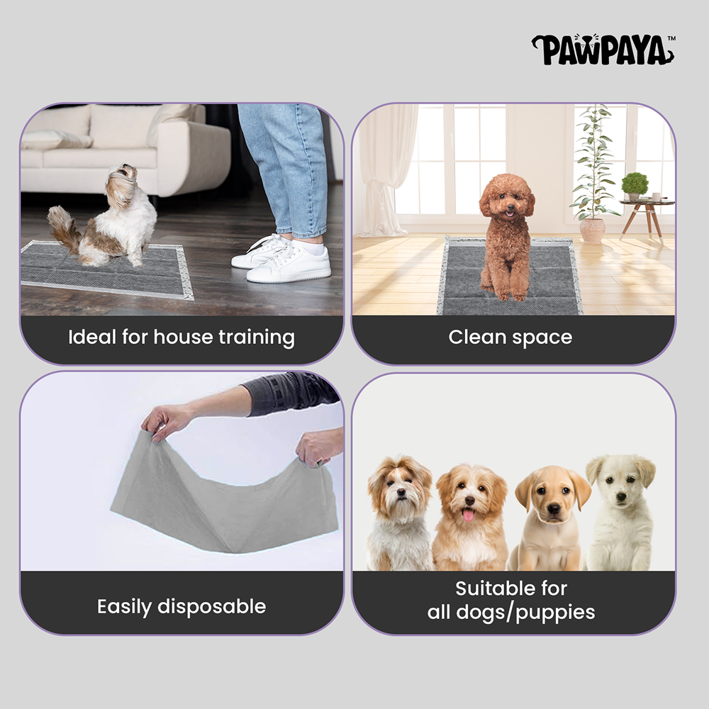 Pawpaya Carbon Training Pad for Dogs (White) Dogs-Health & Wellness Pawpaya