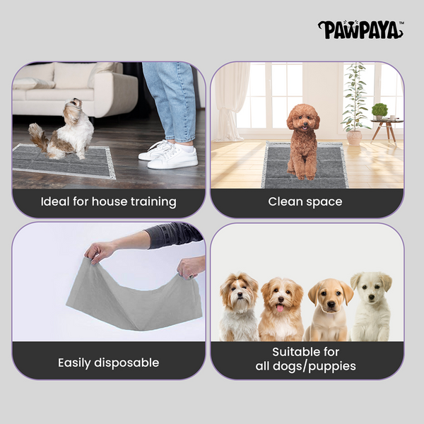 Pawpaya Carbon Training Pad for Dogs (White)