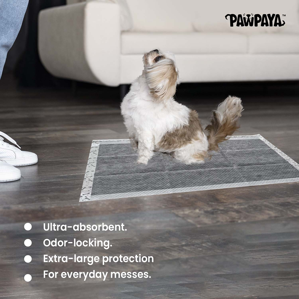 Pawpaya Carbon Training Pad for Dogs (White) Dogs-Health & Wellness Pawpaya