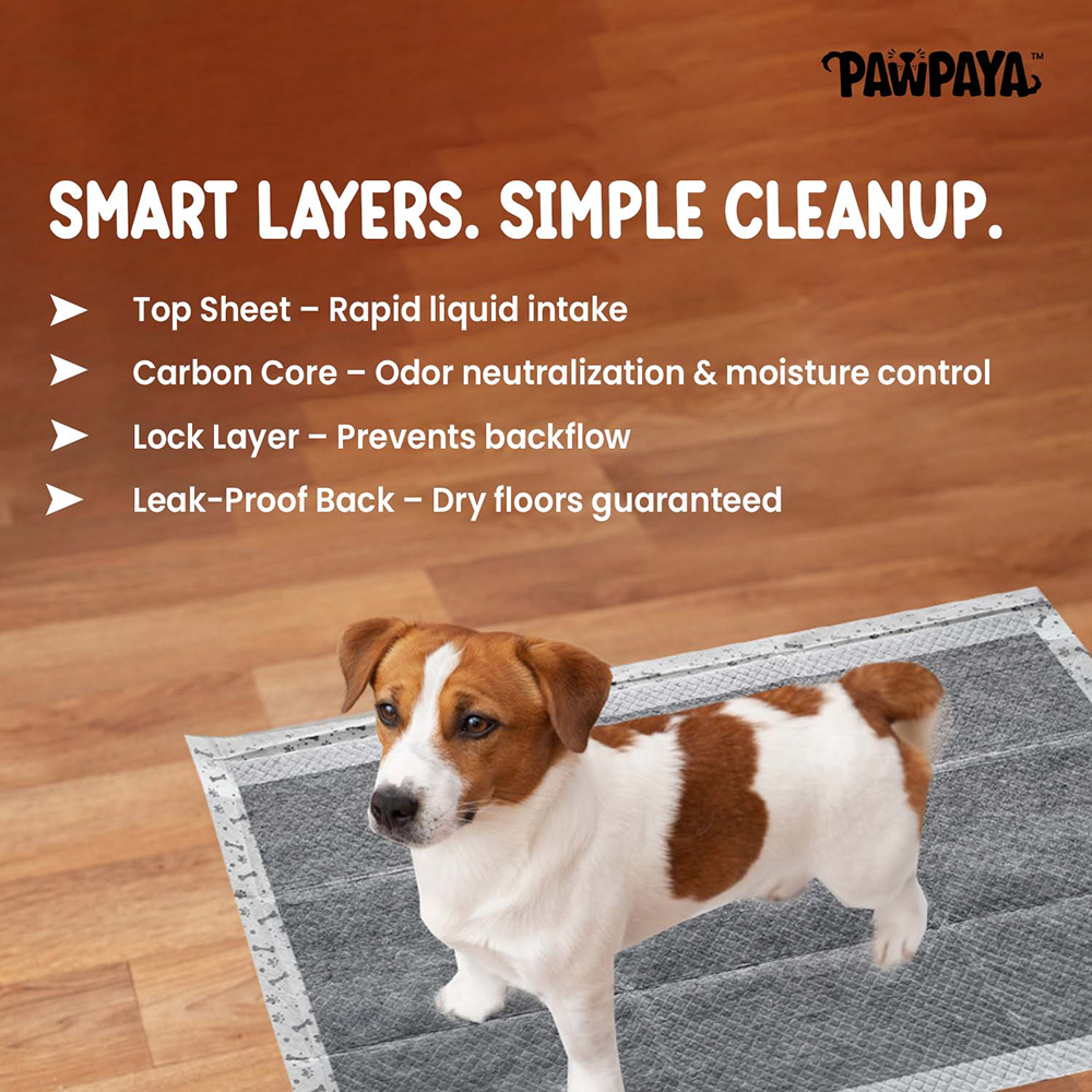Pawpaya Carbon Training Pad for Dogs (White) Dogs-Health & Wellness Pawpaya