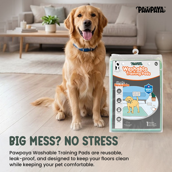 Pawpaya Washable Training Pads for Dogs (Pack of 1)