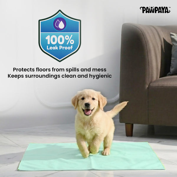 Pawpaya Washable Training Pads for Dogs (Pack of 1)