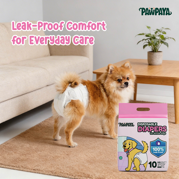 Pawpaya 100% Leak Proof Disposable Diapers for Female Dogs