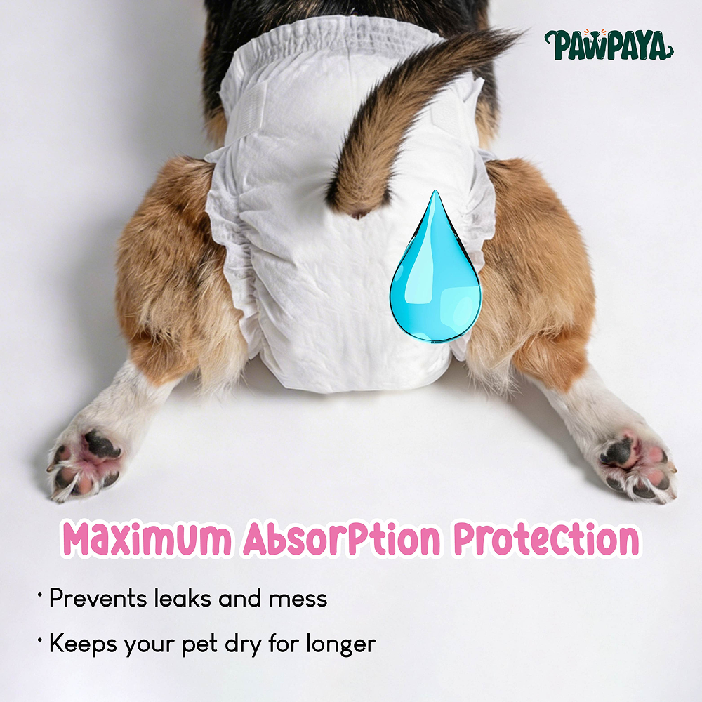 Pawpaya 100% Leak Proof Disposable Diapers for Female Dogs Dogs-Health & Wellness Pawpaya