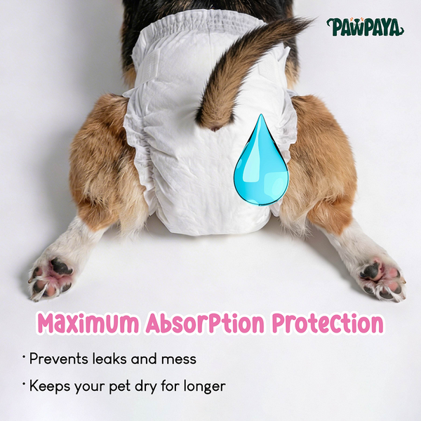 Pawpaya 100% Leak Proof Disposable Diapers for Female Dogs