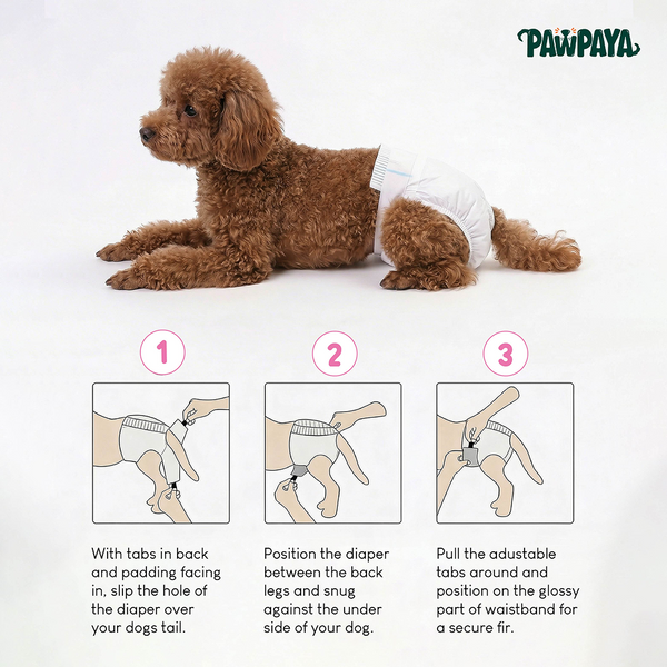 Pawpaya 100% Leak Proof Disposable Diapers for Female Dogs