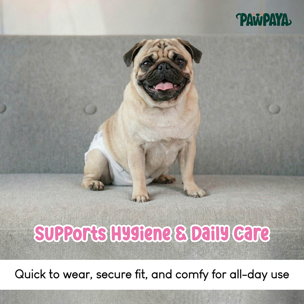 Pawpaya 100% Leak Proof Disposable Diapers for Female Dogs Dogs-Health & Wellness Pawpaya