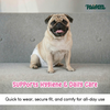 Pawpaya 100% Leak Proof Disposable Diapers for Female Dogs Dogs-Health & Wellness Pawpaya