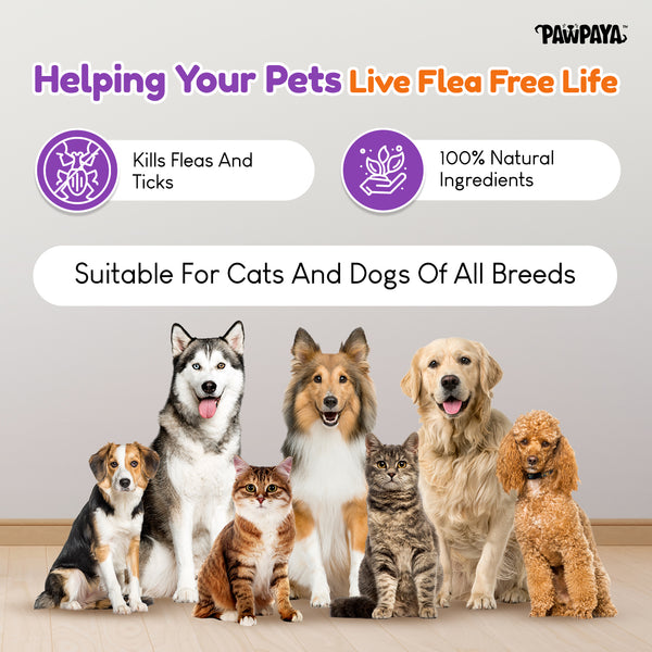Pawpaya Tick and Flea Powder for Dogs and Cats