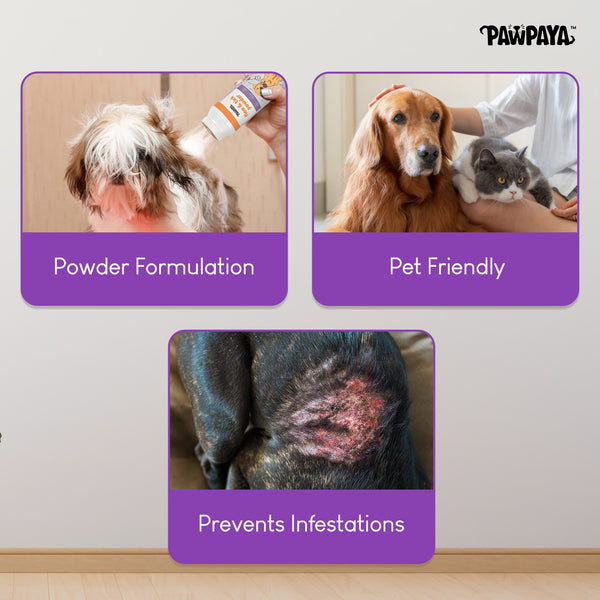Pawpaya Tick and Flea Powder for Dogs and Cats