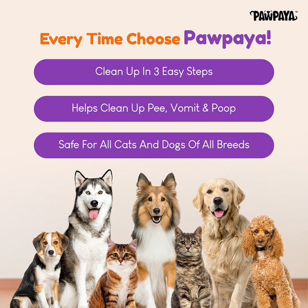 Pawpaya Pee Lock Powder for Dogs and Cats