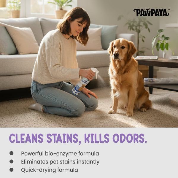 Pawpaya Stain and Odour Remover for Dogs