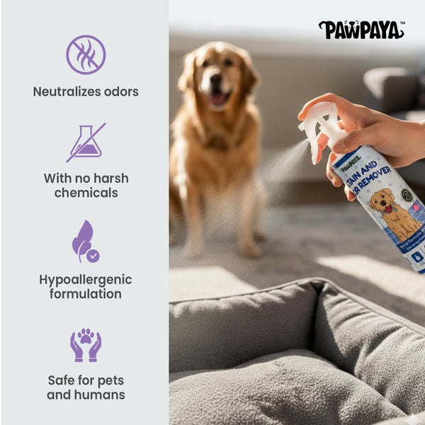 Pawpaya Stain and Odour Remover for Dogs