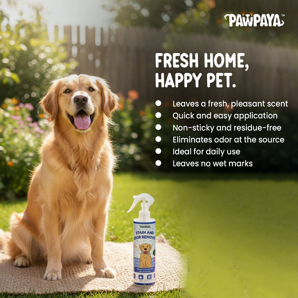 Pawpaya Stain and Odour Remover for Dogs