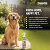 Pawpaya Stain and Odour Remover for Dogs Dogs-Health & Wellness Pawpaya