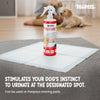 Pawpaya Puppy Training Aid for Dogs Dogs-Health & Wellness Pawpaya