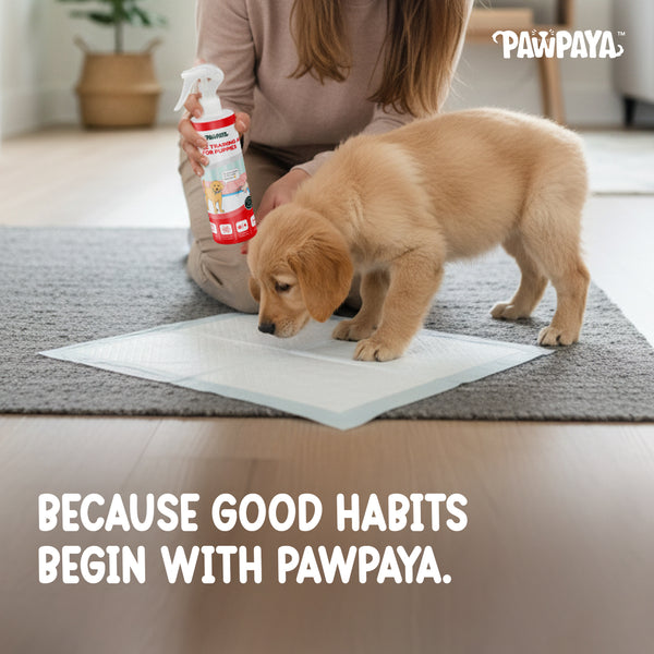 Pawpaya Puppy Training Aid for Dogs