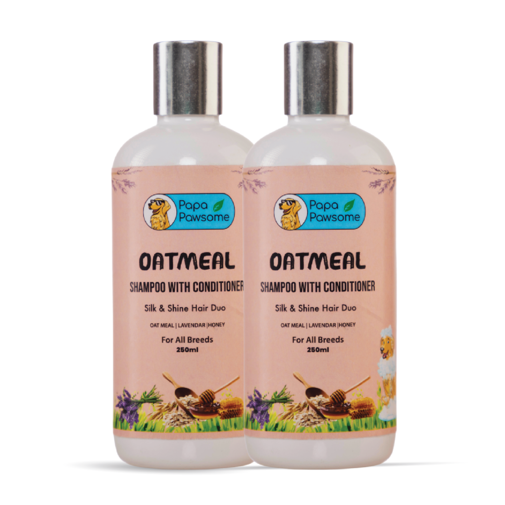 Papa Pawsome Oatmeal Shampoo with Conditioner for Dogs (Limited Shelf Life) Dogs-Grooming Supplies Papa Pawsome 2x250mL