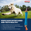 Petstages Orka Stick Toy for Dogs (Blue) Dogs-Toys Petstages
