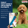 Petstages Orka Stick Toy for Dogs (Blue) Dogs-Toys Petstages
