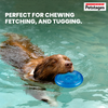 Petstages Orka Flyer Toy for Dogs (Blue) Dogs-Toys Petstages