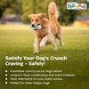 Outward Hound Crunchcore Bone Chew Toy for Dogs Dogs-Toys Outward Hound