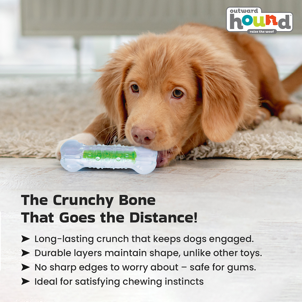 Outward Hound Crunchcore Bone Chew Toy for Dogs Dogs-Toys Outward Hound
