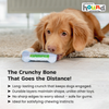 Outward Hound Crunchcore Bone Chew Toy for Dogs Dogs-Toys Outward Hound