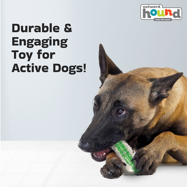 Outward Hound Crunchcore Bone Chew Toy for Dogs