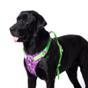 Truelove No Pull Special Edition Harness for Dogs (Camouflage Purple) Both-Collar, Leashes, harnesses True Love