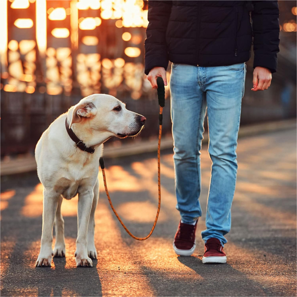 Pet Vogue Reflective Rope Leash for Dogs (Orange)