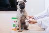 PawZ SANIPAW Wipes for Dogs (White) Both-Grooming Supplies PawZ