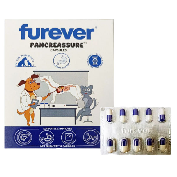 Pawsome Companion Pancreassure Capsules for Dogs & Cats