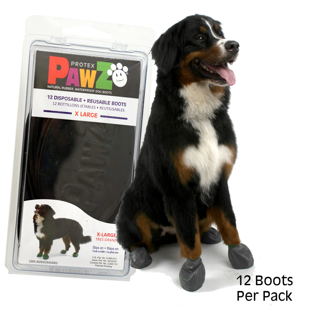 Protex PawZ Disposable and Reusable Boots for Dogs (Black) Dogs-Clothing & Accessories PawZ XL