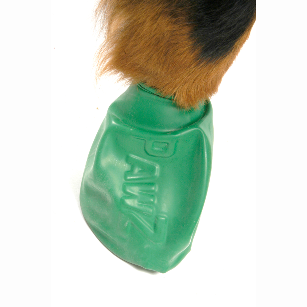 Protex PawZ Boots for Dogs (Green)