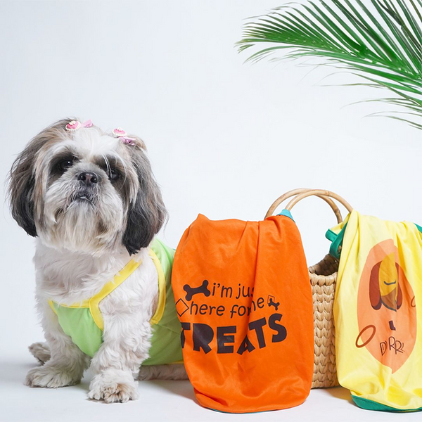 Pets Way Pawfect Vest Combo for Dogs (Pack of 3)