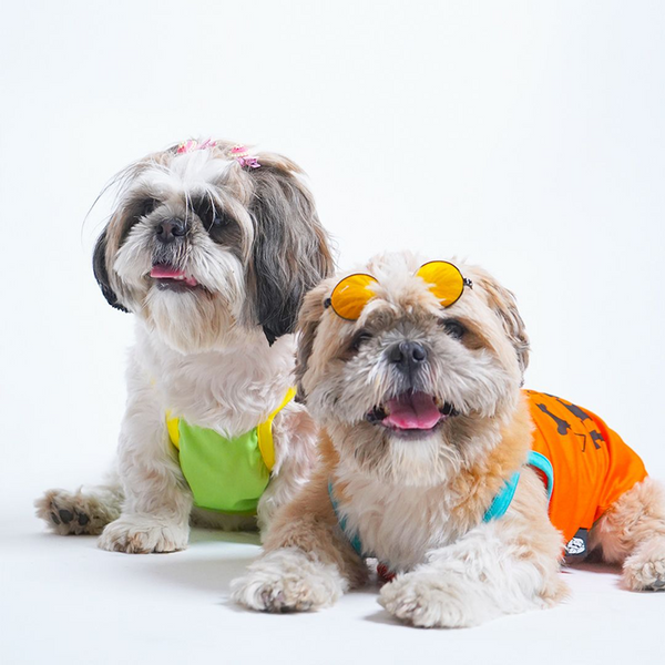 Pets Way Pawfect Vest Combo for Dogs (Pack of 3)