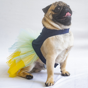 Pawgypets Denim Frilly Dress for Dogs and Cats (Blue/Yellow)