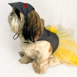 Pawgypets Denim Frilly Dress for Dogs and Cats (Blue/Yellow)