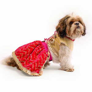Pawgypets Velvet Lehenga for Dogs and Cats (Pink/Golden)